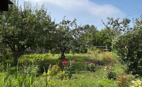 Продается дом 48м2 на земле 10 соток в с. , номер 116327 - 19