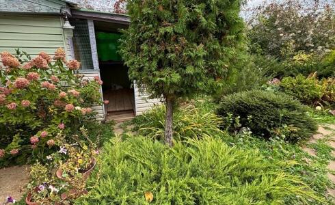 Продается дом 53м2 на земле 9 соток в с. , номер 116351 - 20