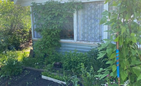 Продается дом 23м2 на земле 4 соток в . , номер 115381 - 2