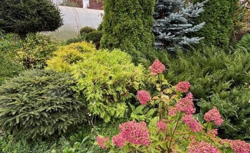 Продается дом 53м2 на земле 9 соток в с. , номер 116351 - 27