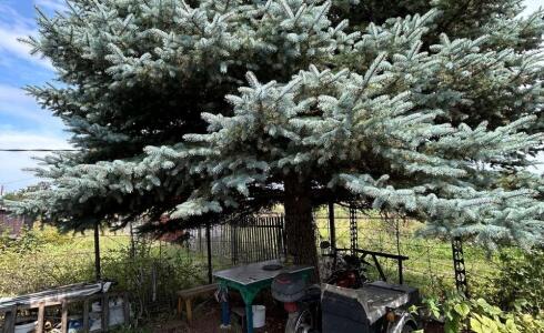 Продается дом 48м2 на земле 10 соток в с. , номер 116327 - 18