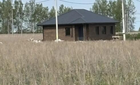 , номер 116632 - 15