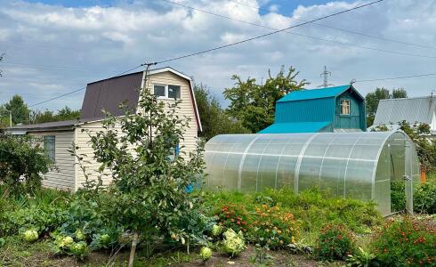 Продается дом 16м2 на земле 6 соток в с. , номер 116335 - 9