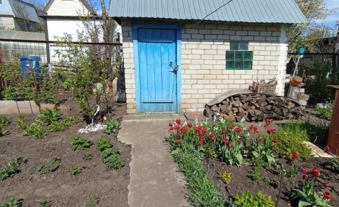 Продается дом 29м2 на земле 8 соток в с. , номер 115312 - 20