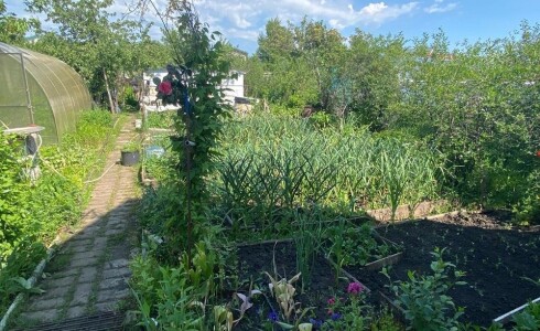 Продается дом 23м2 на земле 4 соток в . , номер 115381 - 13