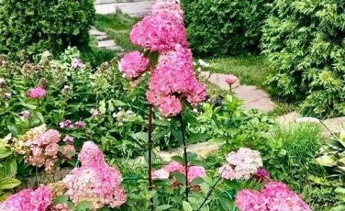 Продается дом 283м2 на земле 16 соток в с. , номер 116526 - 3