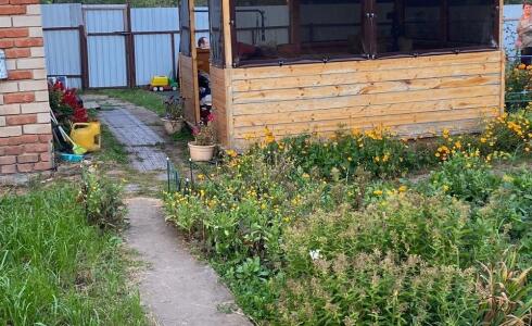 Продается дом 50м2 на земле 5 соток в д. , номер 115494 - 5