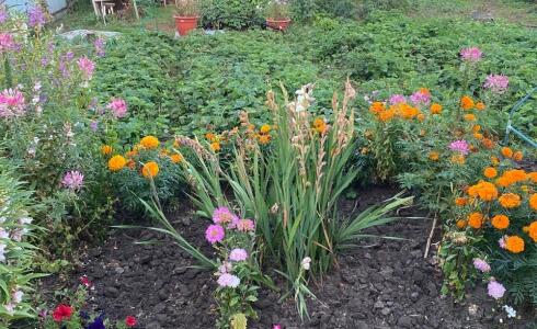 Продается дом 50м2 на земле 5 соток в д. , номер 115494 - 14