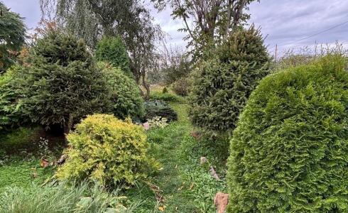 Продается дом 53м2 на земле 9 соток в с. , номер 116351 - 21