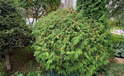 Продается дом 53м2 на земле 9 соток в с. , номер 116351 - 17