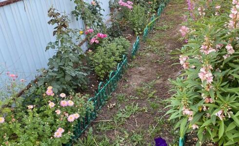 Продается дом 50м2 на земле 5 соток в д. , номер 115494 - 13