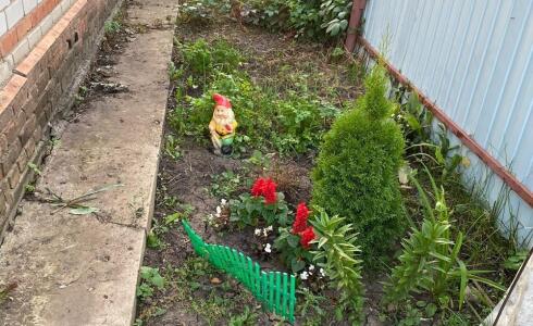 Продается дом 50м2 на земле 5 соток в д. , номер 115494 - 17