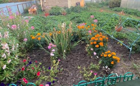 Продается дом 50м2 на земле 5 соток в д. , номер 115494 - 16