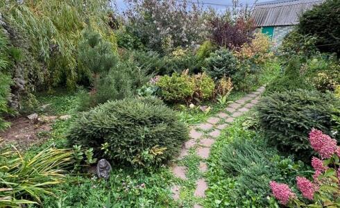 Продается дом 53м2 на земле 9 соток в с. , номер 116351 - 26