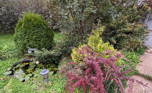 Продается дом 53м2 на земле 9 соток в с. , номер 116351 - 23