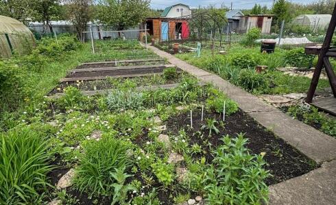 Продается дом 50м2 на земле 4 соток в с. , номер 116264 - 12