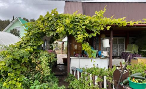 Продается дом 20м2 на земле 4 соток в с. , номер 116365 - 10