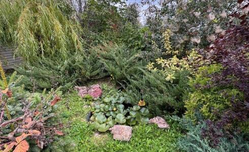 Продается дом 53м2 на земле 9 соток в с. , номер 116351 - 28