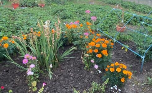 Продается дом 50м2 на земле 5 соток в д. , номер 115494 - 15