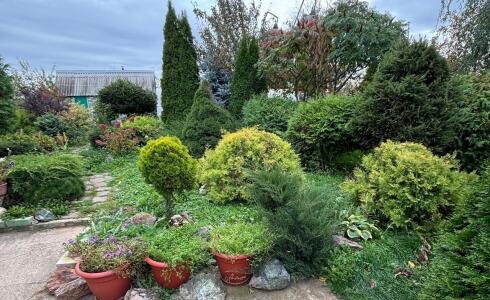 Продается дом 53м2 на земле 9 соток в с. , номер 116351 - 22