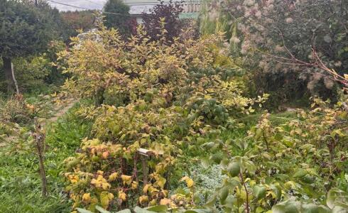 Продается дом 53м2 на земле 9 соток в с. , номер 116351 - 2