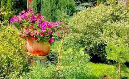 Продается дом 283м2 на земле 16 соток в с. , номер 116526 - 24