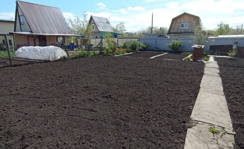 Продается дом 29м2 на земле 8 соток в с. , номер 115312 - 11