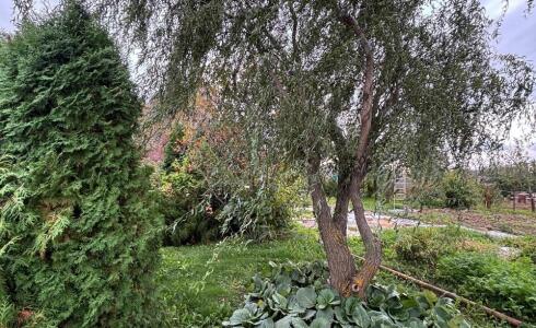 Продается дом 53м2 на земле 9 соток в с. , номер 116351 - 18