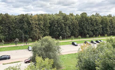 Продается 3-комнатная квартира 66м2 , 20 комплекс, номер 116343 - 3