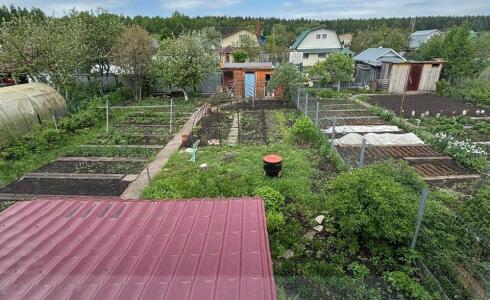 Продается дом 50м2 на земле 4 соток в с. , номер 116264 - 4