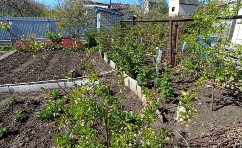 Продается дом 29м2 на земле 8 соток в с. , номер 115312 - 12