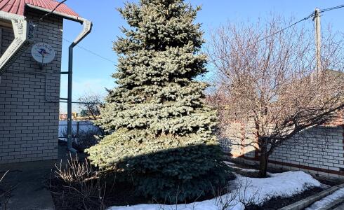 Продается дом 99м2 на земле 15 соток в д. , номер 116109 - 4