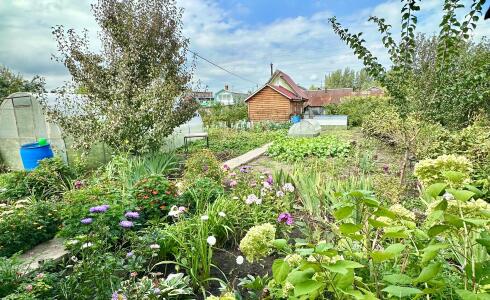 Продается дом 16м2 на земле 6 соток в с. , номер 116335 - 15